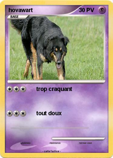 Pokemon hovawart