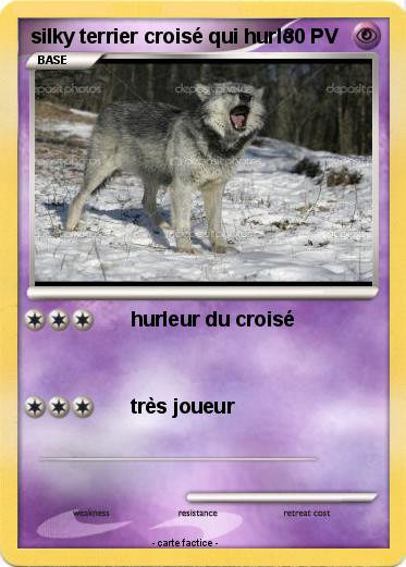 Pokemon silky terrier croisé qui hurle