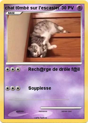 Pokemon chat t0mbé sur l'escasier