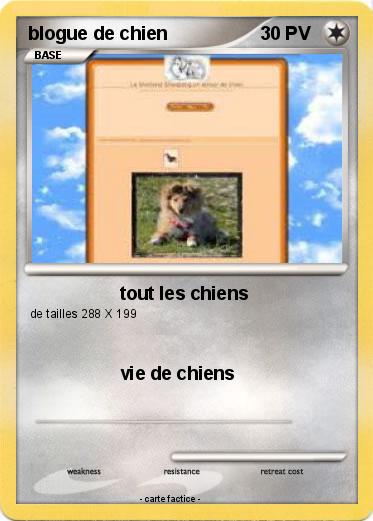 Pokemon blogue de chien