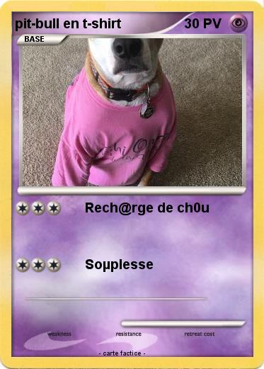 Pokemon pit-bull en t-shirt