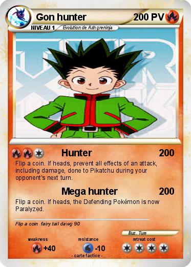 Pokemon Gon hunter