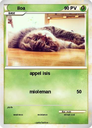 Pokemon iloa