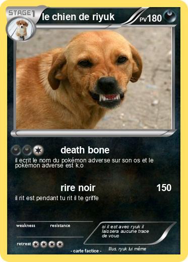 Pokemon le chien de riyuk