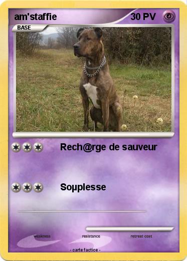 Pokemon am'staffie