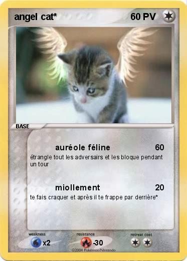 Pokemon angel cat*