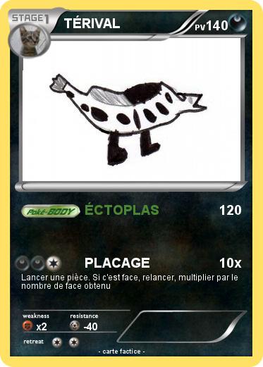 Pokemon TÉRIVAL