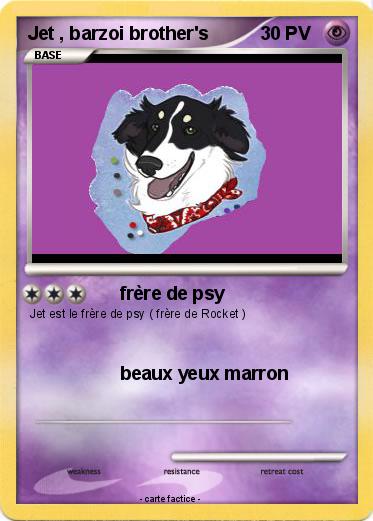 Pokemon Jet , barzoi brother's