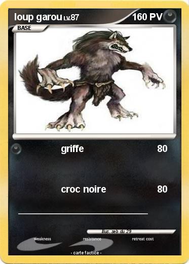 Pokemon loup garou