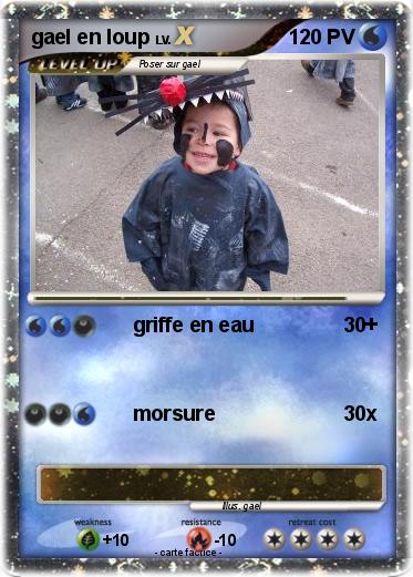 Pokemon gael en loup