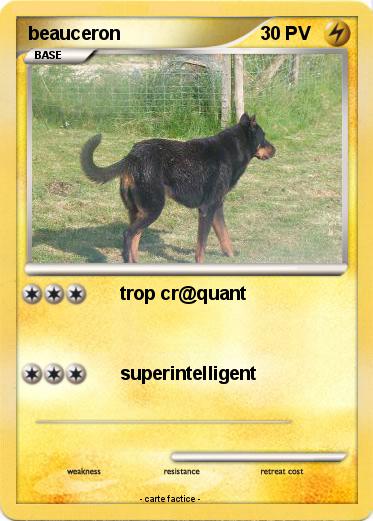 Pokemon beauceron