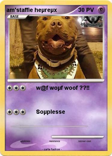 Pokemon am'staffie heµreµx