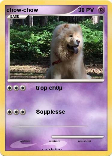 Pokemon chow-chow