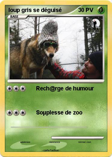 Pokemon loup gris se déguisé