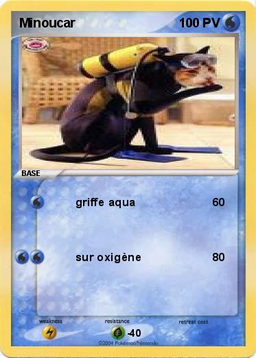 Pokemon Minoucar