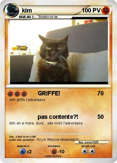 Pokemon kim