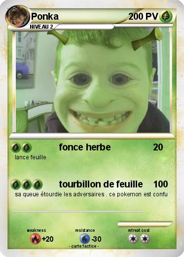 Pokemon Ponka