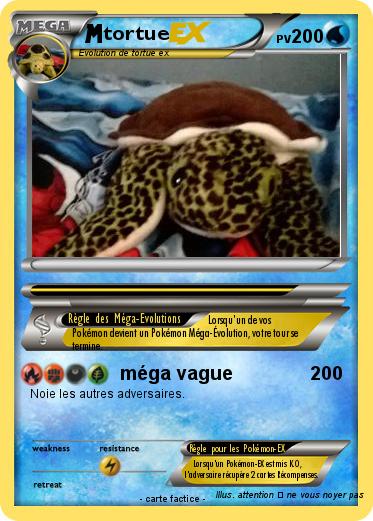 Pokemon tortue