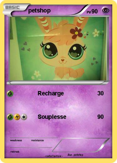 Pokemon petshop