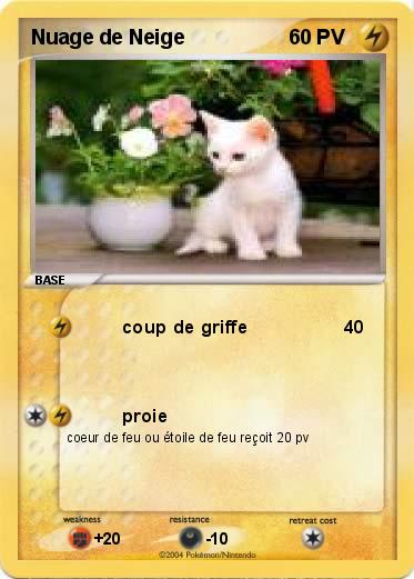 Pokemon Nuage de Neige