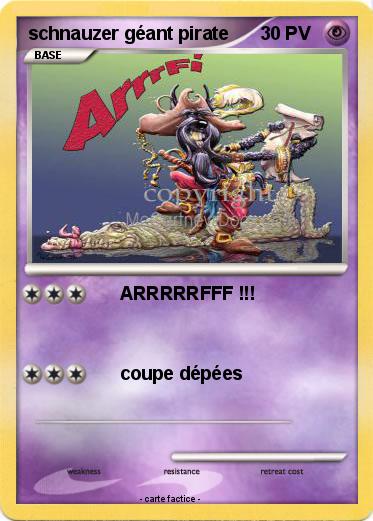 Pokemon schnauzer géant pirate