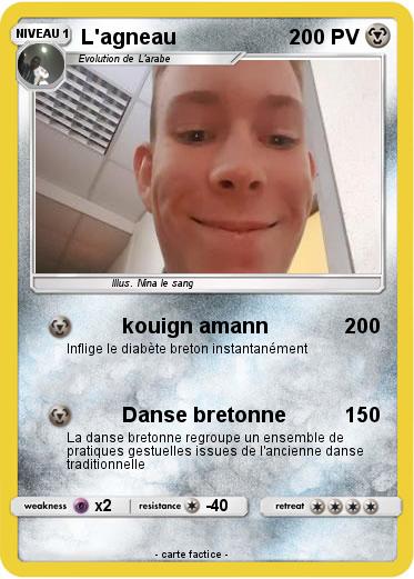 Pokemon L'agneau