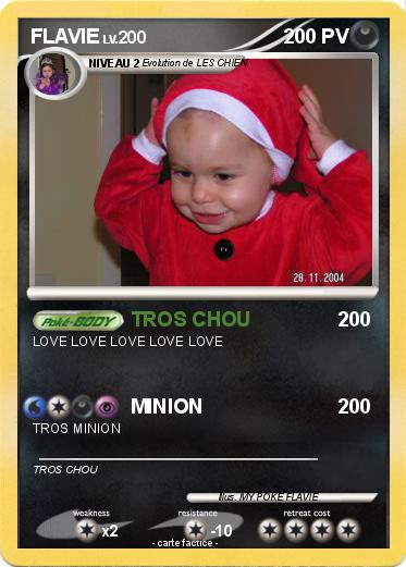 Pokemon FLAVIE