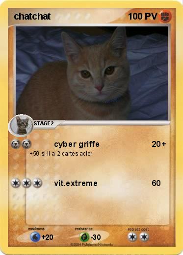 Pokemon chatchat