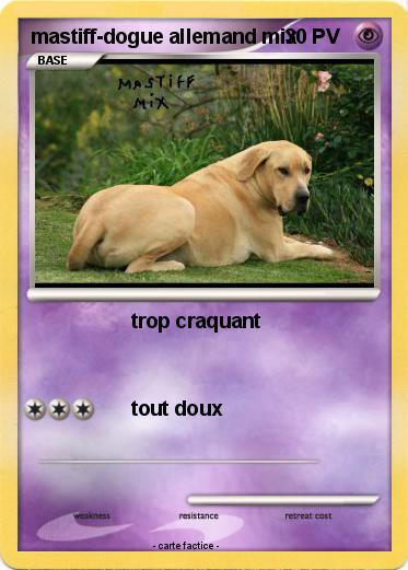 Pokemon mastiff-dogue allemand mix