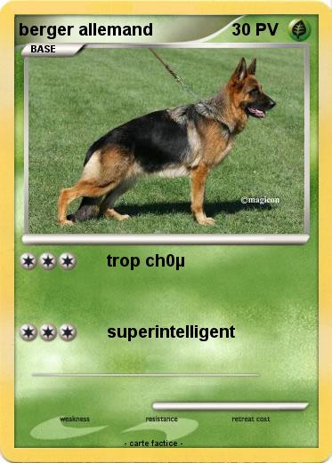Pokemon berger allemand