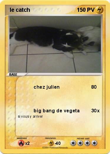 Pokemon  le catch