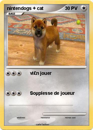 Pokemon nintendogs + cat
