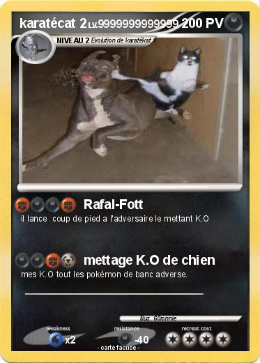 Pokemon karatécat 2