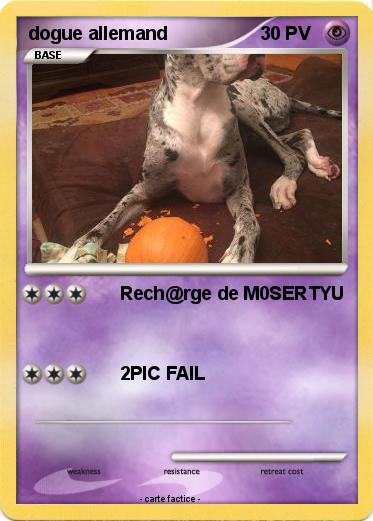 Pokemon dogue allemand