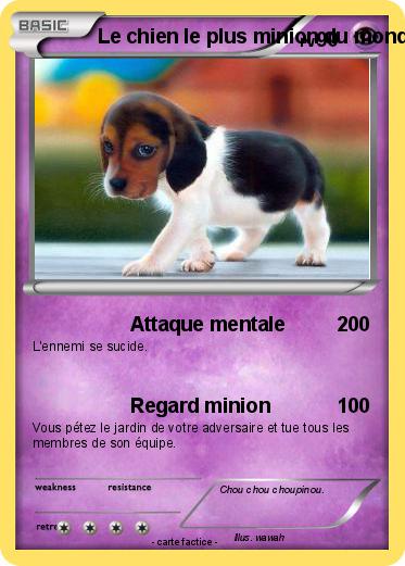 Pokemon Le chien le plus minion du monde