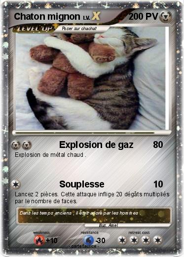 Pokemon Chaton mignon