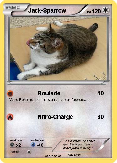 Pokemon Jack-Sparrow