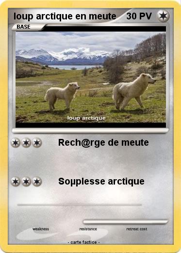 Pokemon loup arctique en meute