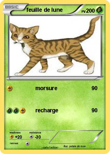 Pokemon feuille de lune