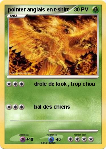 Pokemon pointer anglais en t-shirt