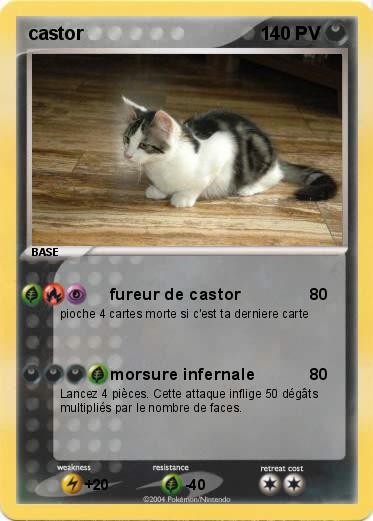 Pokemon castor