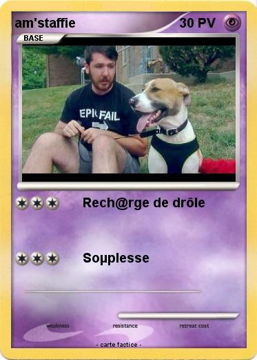 Pokemon am'staffie
