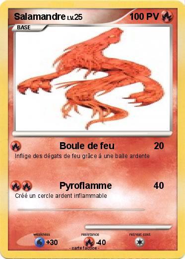 Pokemon Salamandre