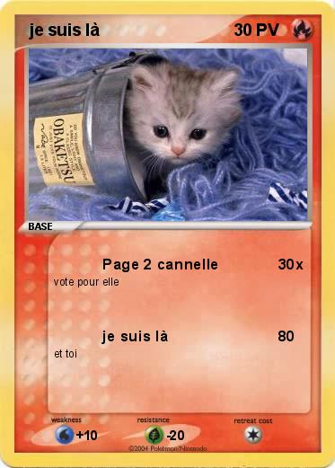Pokemon  je suis là