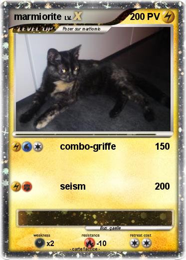 Pokemon marmiorite