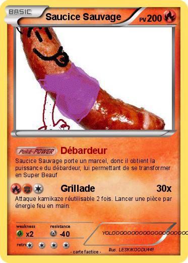 Pokemon Saucice Sauvage