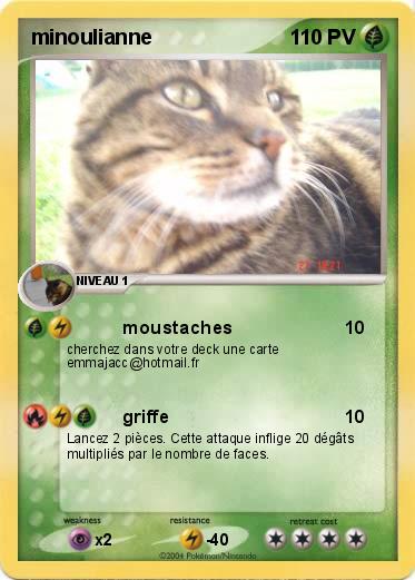 Pokemon minoulianne