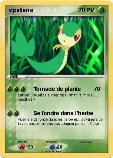 Pokemon vipelierre