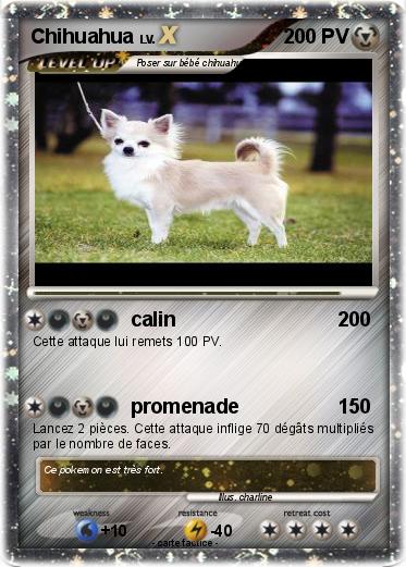 Pokemon Chihuahua