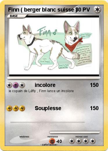 Pokemon Finn ( berger blanc suisse )